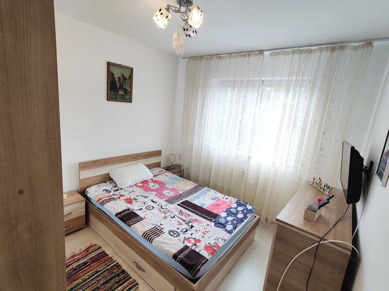 Berceni Dimitrie Leonida