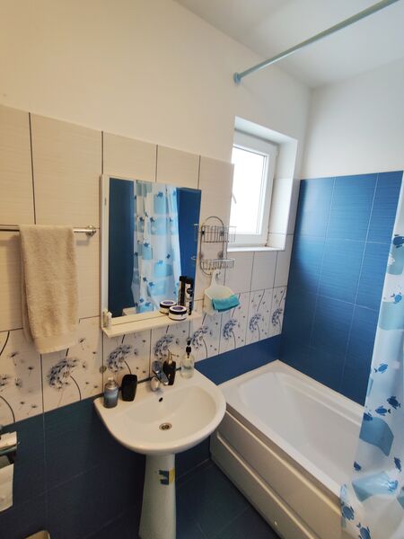 Berceni Dimitrie Leonida