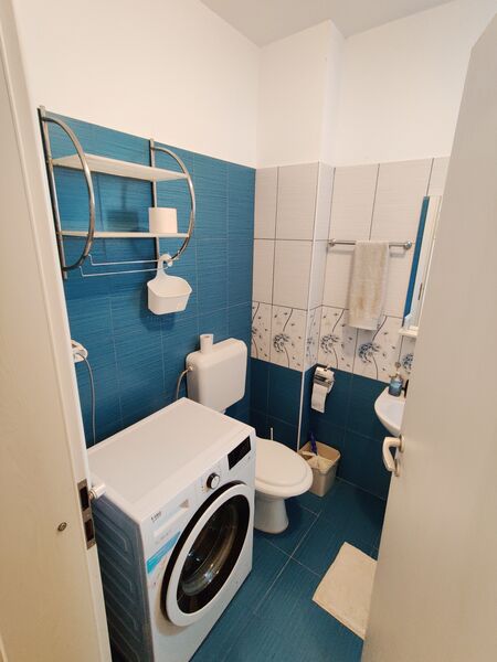 Berceni Dimitrie Leonida