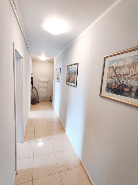 Berceni Dimitrie Leonida