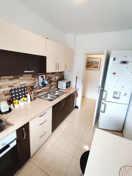 Berceni Dimitrie Leonida